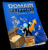 Thumbnail Domain Flipping Treasure Maps